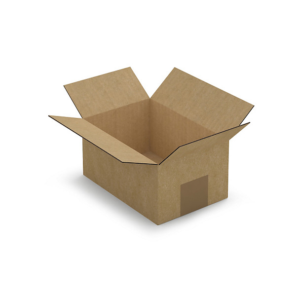 Platte doos bruin enkelgolfkarton RAJA 18,5 x 12,5 x 9 cm - 1