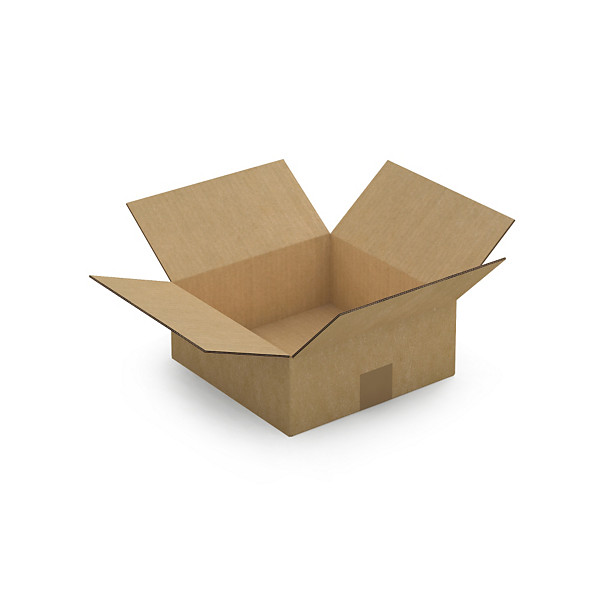 Platte kartonnen dozen Platibox in bruin dubbelgolfkarton 25 x 25 x 10 cm - 1