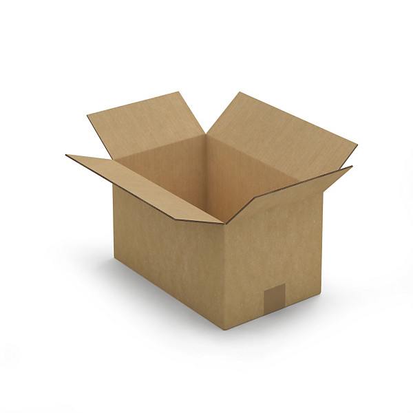 Platte kartonnen dozen Platibox in bruin dubbelgolfkarton 35 x 22 x 20 cm - 1