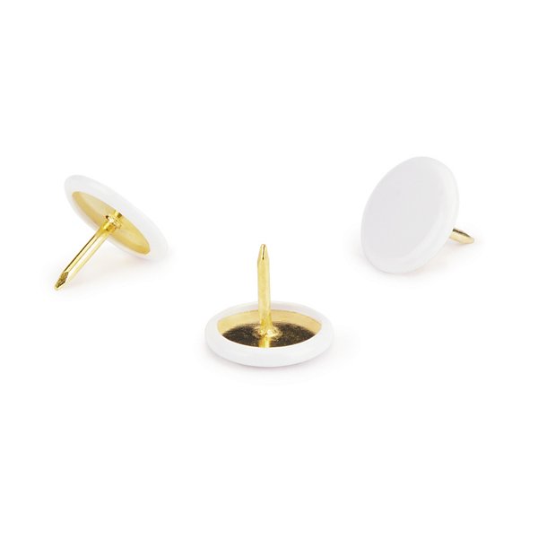 Platte punaise RAJA - 5