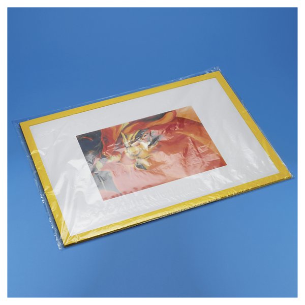 Ploché sáčky 130x180mm, v zásobníku, materiál LDPE, tloušťka 30µm | RAJA - 3