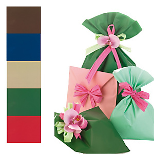 PNP Busta regalo Mat Pearly A - 16 x 25 cm - 40 micron - PPL - assortimento 5 colori assortiti - conf. 100 pezzi PNP Busta regalo Mat Pearly A - 16 x 25 cm - 40 micron - PPL - assortimento 5 colori assortiti - conf. 100 pezzi