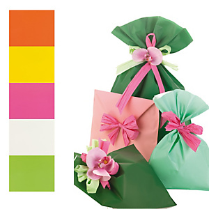 PNP Busta regalo Mat Pearly B - 40 x 65 cm - 40 micron - PPL - assortimento 5 colori - conf. 50 pezzi PNP Busta regalo Mat Pearly B - 40 x 65 cm - 40 micron - PPL - assortimento 5 colori - conf. 50 pezzi