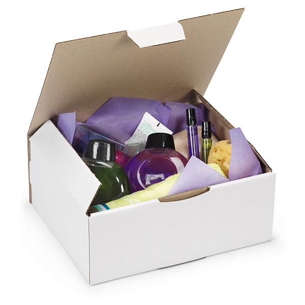 Poštovní krabice 330x250x150mm, bílá | RAJAPOST® - 1