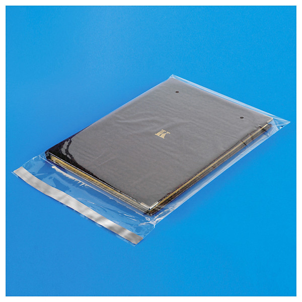 Polypropyleenzakje met zelfklevende sluiting 40 micron 8x12 cm - 1