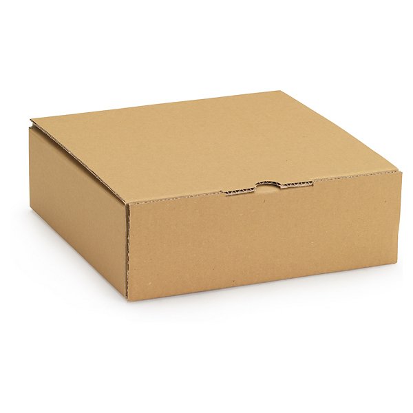 Postdoos bruin met schuimvulling 100% gerecycled RAJA 32 x 25 x 5 cm - 2