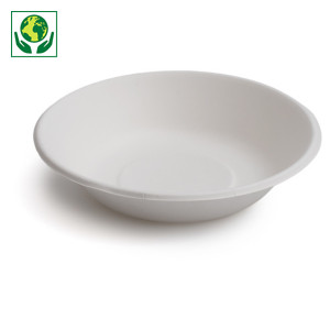 Prato de sopa branco em cana-de-açúcar Prato de sopa branco em cana-de-açúcar