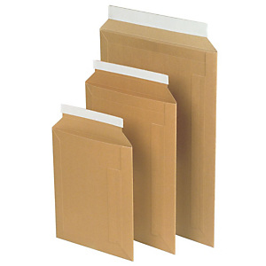 Pressel Busta per catalogo, Autoadesiva, Cartone, 245 x 176 mm, Avana (confezione 100 pezzi) Pressel Busta per catalogo, Autoadesiva, Cartone, 245 x 176 mm, Avana (confezione 100 pezzi)