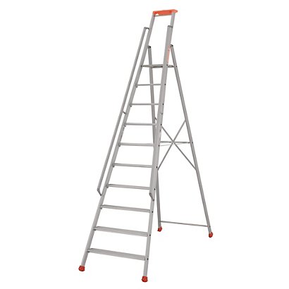 Professionele Tubesca ladders 10 treden - 1