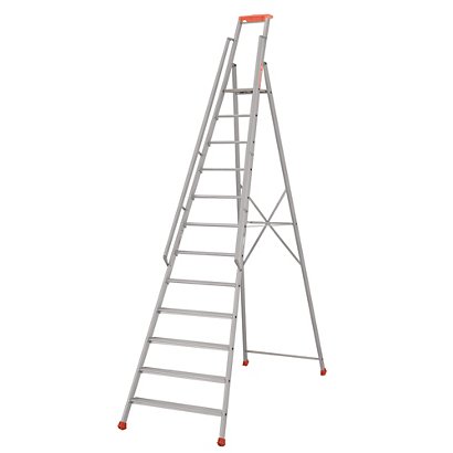 Professionele Tubesca ladders 12 treden - 1