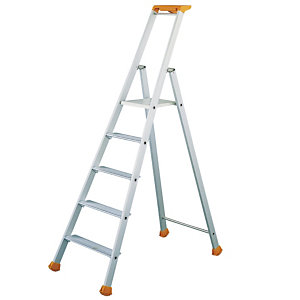 Professionele Tubesca ladders 5 treden