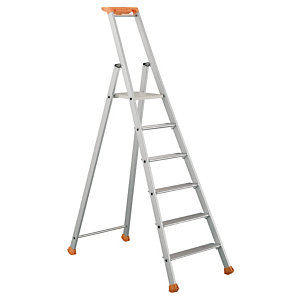 Professionele Tubesca ladders 6 treden