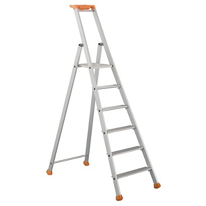 Professionele Tubesca ladders 6 treden - 1