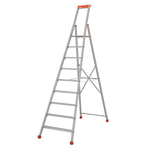 Professionele Tubesca ladders 9 treden