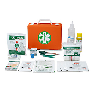 PVS Valigetta di pronto soccorso Medic 1 - 25x19x9 cm - fino a 2 persone - arancio - PVS PVS Valigetta di pronto soccorso Medic 1 - 25x19x9 cm - fino a 2 persone - arancio - PVS