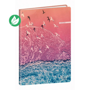 Quo Vadis Agenda semainier Ministre Respire - 16 x 24 cm - Oiseaux - Décembre 2025 à Décembre 2026 Quo Vadis Agenda semainier Ministre Respire - 16 x 24 cm - Oiseaux - Décembre 2025 à Décembre 2026
