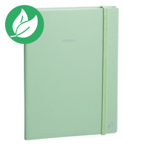 Quo Vadis Carnet 21 pastel A5 (14,8 x 21 cm) 192 pages lignées 5mm de 90 g/m² - Couverture Vert avec élastique Quo Vadis Carnet 21 pastel A5 (14,8 x 21 cm) 192 pages lignées 5mm de 90 g/m² - Couverture Vert avec élastique