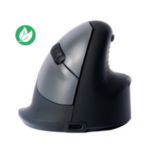R-Go Tools Souris ergonomique verticale sans fil Bluetooth rechargeable droitier R-Go HE Break - Taille M - Noir et Gris R-Go Tools Souris ergonomique verticale sans fil Bluetooth rechargeable droitier R-Go HE Break - Taille M - Noir et Gris