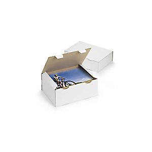 RAJA Boîte d'expédition blanche en carton simple cannelure - L.int. 30 x l.24 x H.10 cm RAJA Boîte d'expédition blanche en carton simple cannelure - L.int. 30 x l.24 x H.10 cm