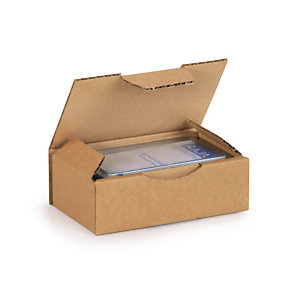 RAJA Boîte d'expédition en carton simple cannelure brun -  24 x 17 x 5 cm - Lot de 50