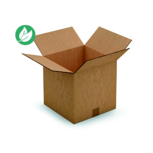RAJA Caisse américaine carton double cannelure - L.30 x l.30 x H.30 cm - Kraft brun - Lot de 15 RAJA Caisse américaine carton double cannelure - L.30 x l.30 x H.30 cm - Kraft brun - Lot de 15