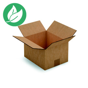 RAJA Caisse américaine carton double cannelure - L.int. 25 x l.20 x h.15 cm - Kraft brun - Lot de 15 RAJA Caisse américaine carton double cannelure - L.int. 25 x l.20 x h.15 cm - Kraft brun - Lot de 15