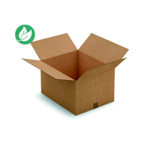 RAJA Caisse américaine carton simple cannelure - L.50 x l.40 x H.30 cm - Kraft brun - Lot de 20 RAJA Caisse américaine carton simple cannelure - L.50 x l.40 x H.30 cm - Kraft brun - Lot de 20