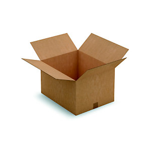RAJA Caisse américaine carton simple cannelure - L.int. 50 x l.40 x h.30 cm - Kraft brun - Lot de 20