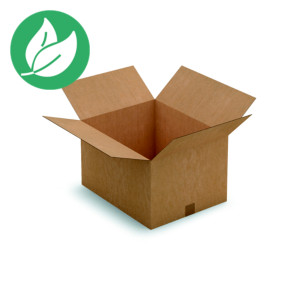 RAJA Caisse américaine carton simple cannelure - L.int. 50 x l.40 x h.30 cm - Kraft brun - Lot de 20 RAJA Caisse américaine carton simple cannelure - L.int. 50 x l.40 x h.30 cm - Kraft brun - Lot de 20