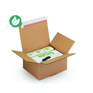 RAJA Caisse à montage instantané et fermeture adhésive en carton simple cannelure brun - L.26 x l.22 x H.13 cm - Lot de 20 RAJA Caisse à montage instantané et fermeture adhésive en carton simple cannelure brun - L.26 x l.22 x H.13 cm - Lot de 20