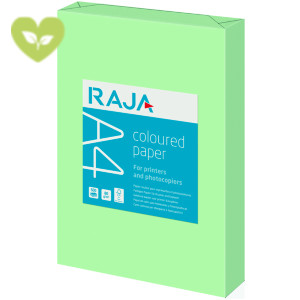 RAJA Carta colorata A4 per fotocopie e stampe, 80 g/m², Verde chiaro pastello (risma 500 fogli) RAJA Carta colorata A4 per fotocopie e stampe, 80 g/m², Verde chiaro pastello (risma 500 fogli)