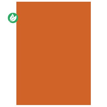 RAJA Sous-chemises 60g recyclées - 22 x 31 cm - Pastel Orange - Lot de 250 - 1