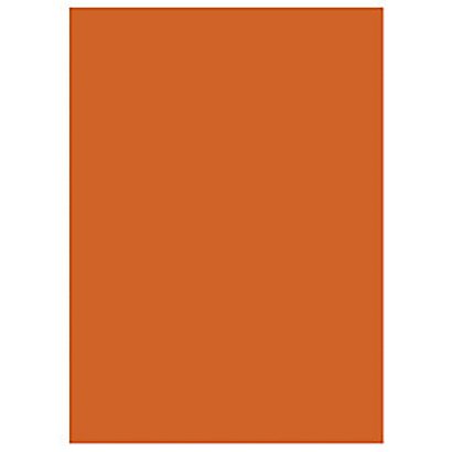 RAJA Sous-chemises 60g recyclées - 22 x 31 cm - Pastel Orange - Lot de 250