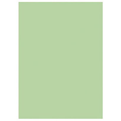 RAJA Sous-chemises 60g recyclées - 22 x 31 cm - Pastel Vert - Lot de 250