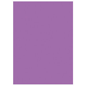RAJA Sous-chemises 60g recyclées - 22 x 31 cm - Pastel Violet - Lot de 250