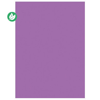 RAJA Sous-chemises 60g recyclées - 22 x 31 cm - Pastel Violet - Lot de 250 - 1
