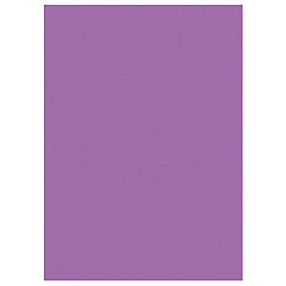 RAJA Sous-chemises 60g recyclées - 22 x 31 cm - Pastel Violet - Lot de 250