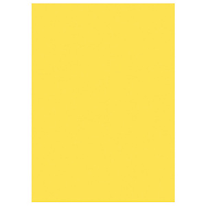 RAJA Sous-chemises 60g recyclées - 22 x 31 cm - Pastel Jaune RAJA Sous-chemises 60g recyclées - 22 x 31 cm - Pastel Jaune