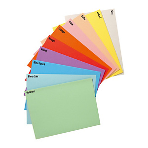 RAJA Chemises dossiers 220g recyclées - 24 x 32 cm - Assortis pastel RAJA Chemises dossiers 220g recyclées - 24 x 32 cm - Assortis pastel