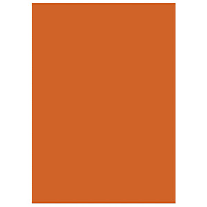 RAJA Chemises dossiers 220g recyclées - 24 x 32 cm - Orange - Lot de 100 RAJA Chemises dossiers 220g recyclées - 24 x 32 cm - Orange - Lot de 100