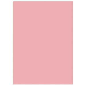 RAJA Chemises dossiers 220g recyclées - 24 x 32 cm - Rose - Lot de 100 RAJA Chemises dossiers 220g recyclées - 24 x 32 cm - Rose - Lot de 100