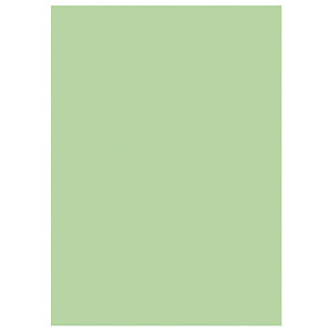 RAJA Chemises dossiers 220g recyclées - 24 x 32 cm - Vert RAJA Chemises dossiers 220g recyclées - 24 x 32 cm - Vert