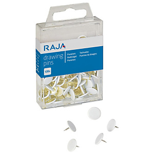 RAJA Chinchetas, cabeza de plástico blanca, paquete de 120 RAJA Chinchetas, cabeza de plástico blanca, paquete de 120