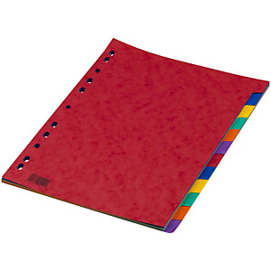 RAJA Divisorio neutro A4, 12 tasti, Carta lucida 225 g/m², Colori assortiti RAJA Divisorio neutro A4, 12 tasti, Carta lucida 225 g/m², Colori assortiti