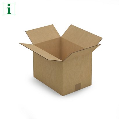 RAJA double wall cardboard boxes, 340x240x240mm