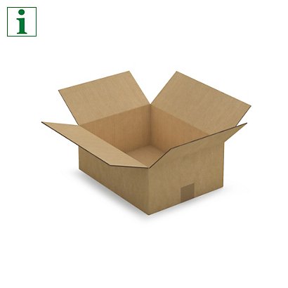 RAJA double wall cardboard boxes, 350x270x140mm - 1