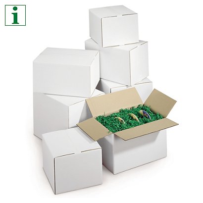 RAJA double wall, white cardboard boxes - 1
