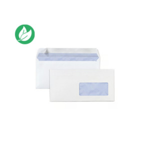 RAJA Enveloppe blanche DL 110 x 220 mm 80g fenêtre 45 x 100 mm - autocollante bande protectrice - Lot de 500 RAJA Enveloppe blanche DL 110 x 220 mm 80g fenêtre 45 x 100 mm - autocollante bande protectrice - Lot de 500