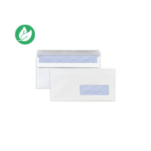RAJA Enveloppe blanche DL 110 x 220 mm 80g fenêtre 45 x 100 mm - autocollante - Lot de 500