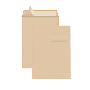 RAJA Enveloppe kraft Arès brun format 24 - 260 x 330 mm 90g sans fenêtre - bande autoadhésive (lot de 250) RAJA Enveloppe kraft Arès brun format 24 - 260 x 330 mm 90g sans fenêtre - bande autoadhésive (lot de 250)
